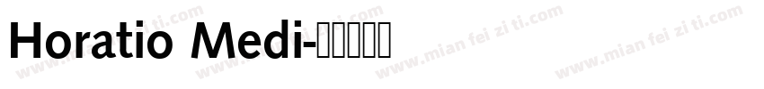 Horatio Medi字体转换